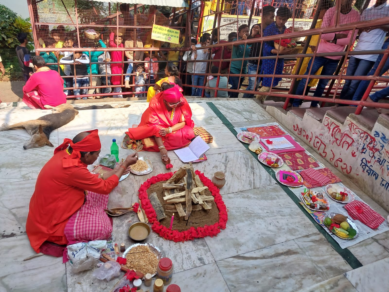 Astrologer in Newtown